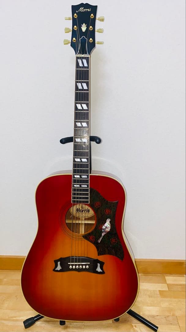 Morris WD25 JAPANVintage GibsonDOVEモデル