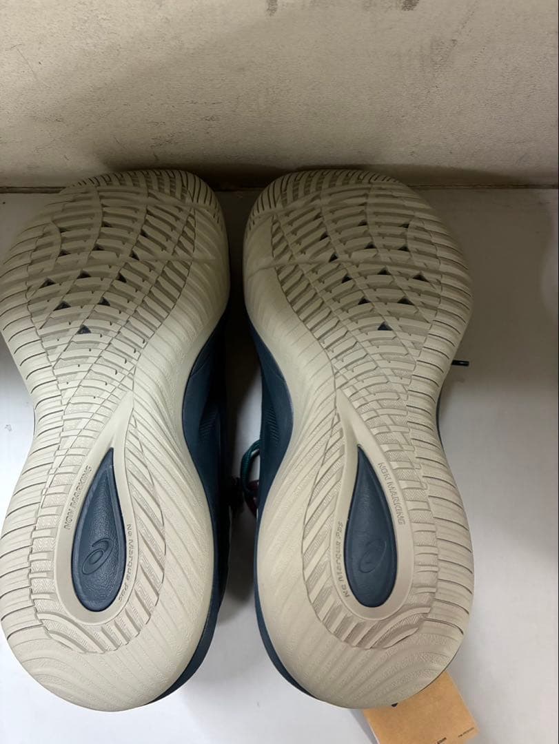 NOVA SURGE LOW 2 300カラー 24.5㎝