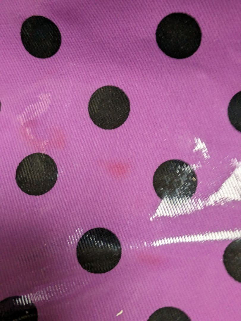 ANNA SUI  ビッグ 巾着バッグ ＆ドットトートバッグプレゼント