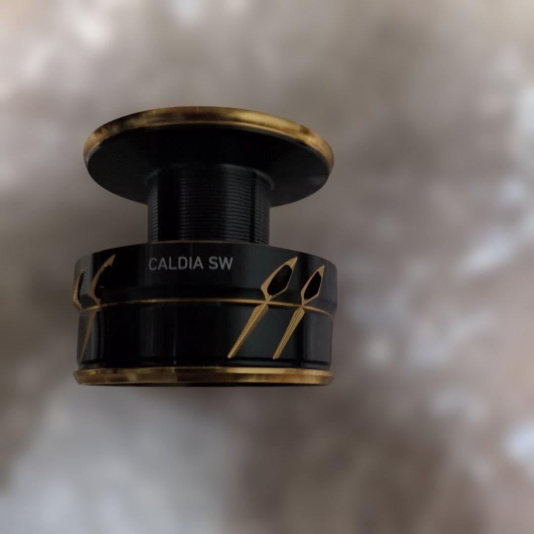 22CALDIA SW 6000D-H 　スプール新品