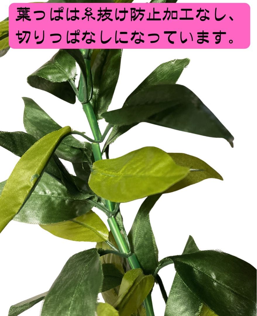 ★9本セット割引★オープンマイレイ 約180cm