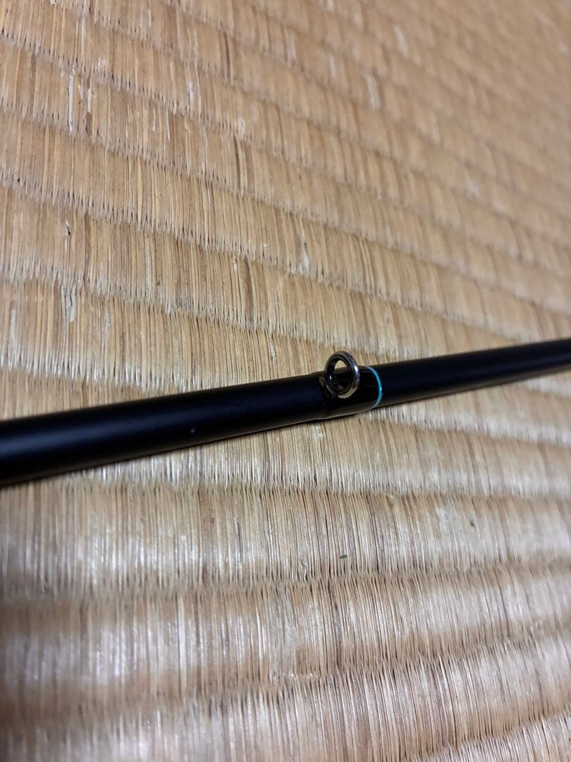 デジーノレーベン スラング バスタ 送料込