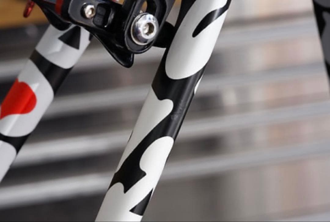 DE ROSA PROTOS REVO スラム電動REDeTAP新車時約200万