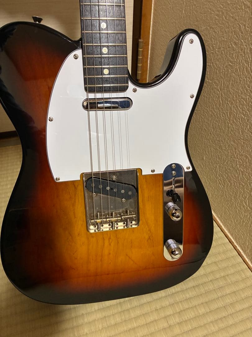 FGN Fujigen フジゲン Neo Classic テレキャスタイプ