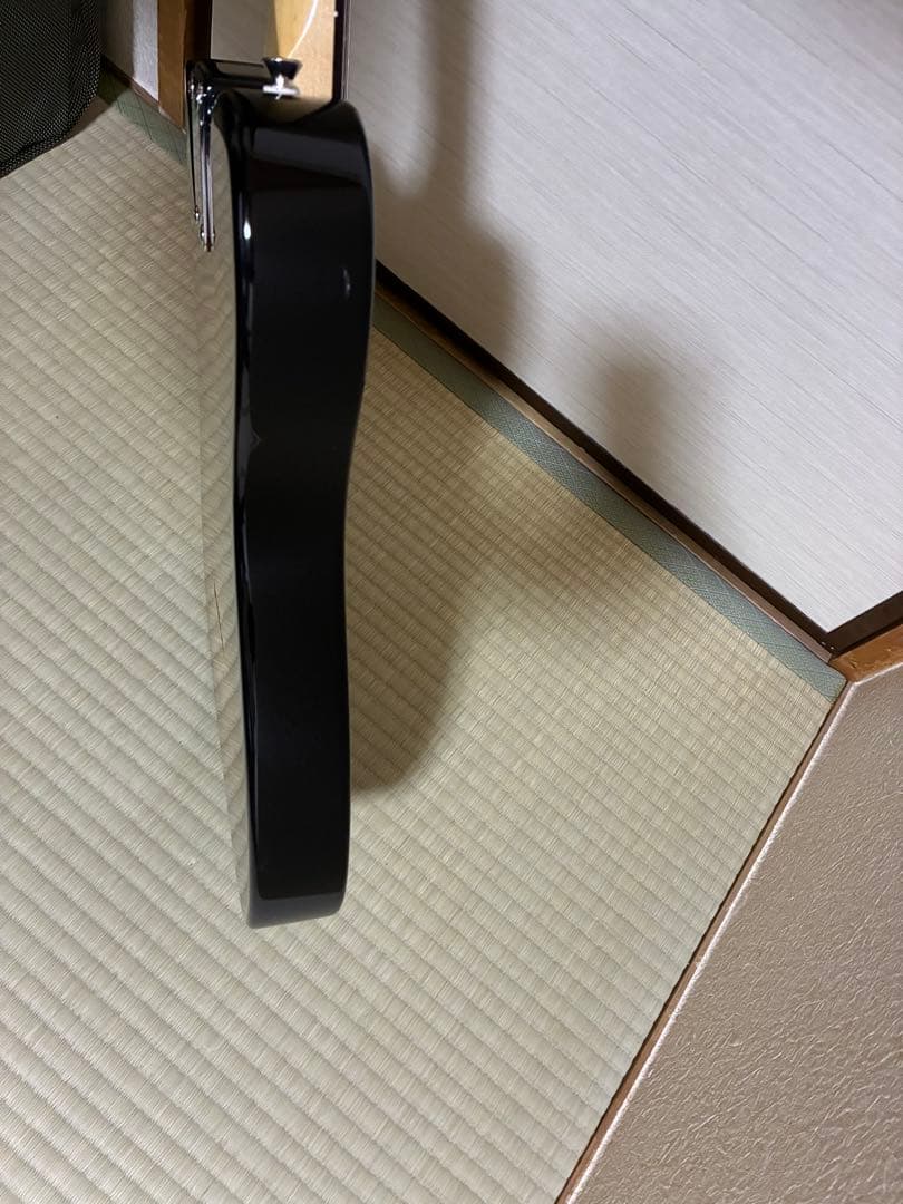 FGN Fujigen フジゲン Neo Classic テレキャスタイプ