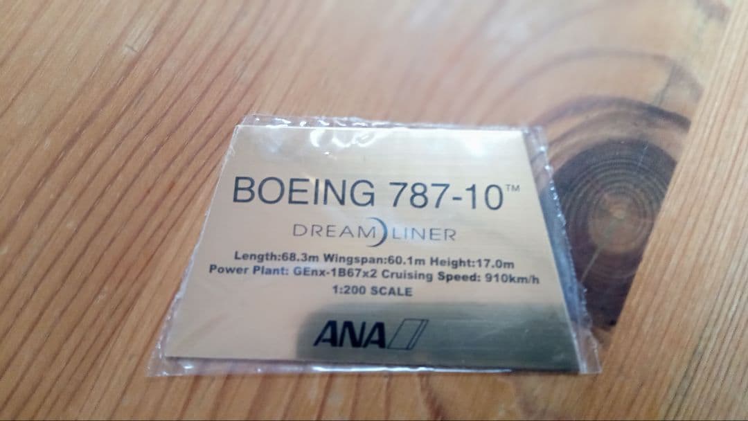 はなをさん専用 ANA Boeing 787-10