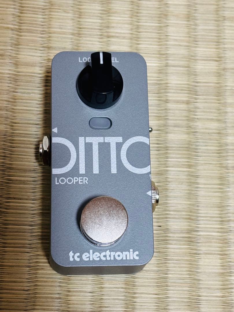 ギター TC electronic DITTO 2 Looper