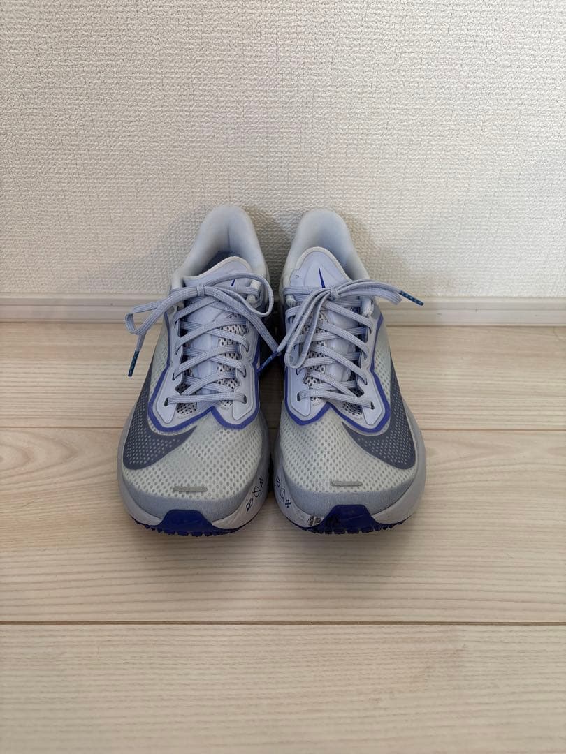 【しゅう様】NIKE ズーム フライ 6 ZOOM FLY 6 ゴースト/