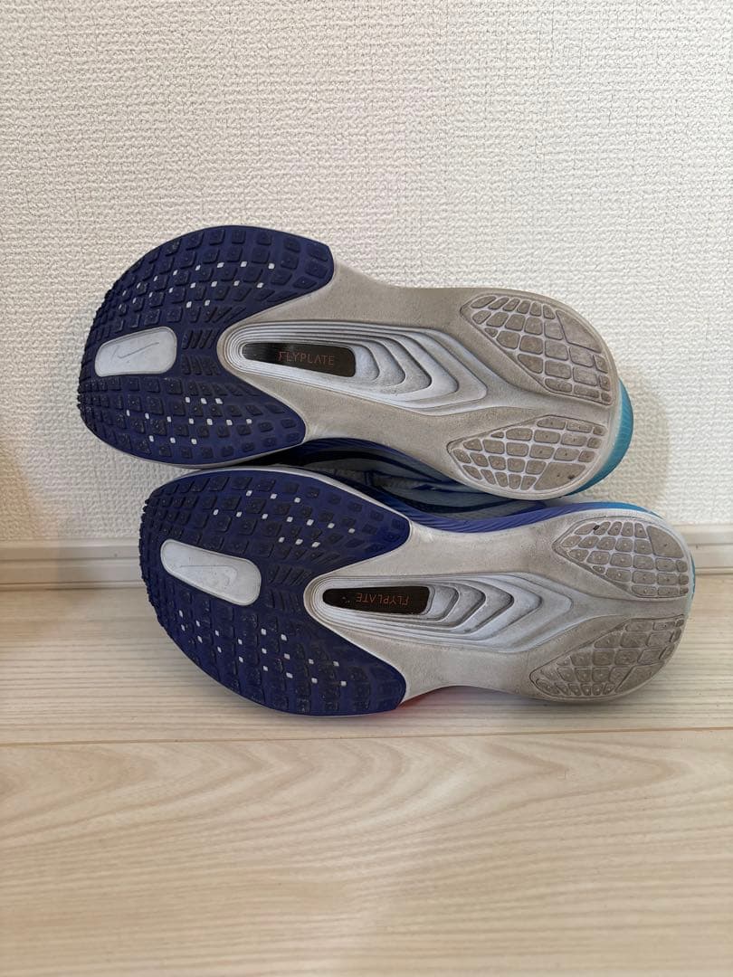 【しゅう様】NIKE ズーム フライ 6 ZOOM FLY 6 ゴースト/