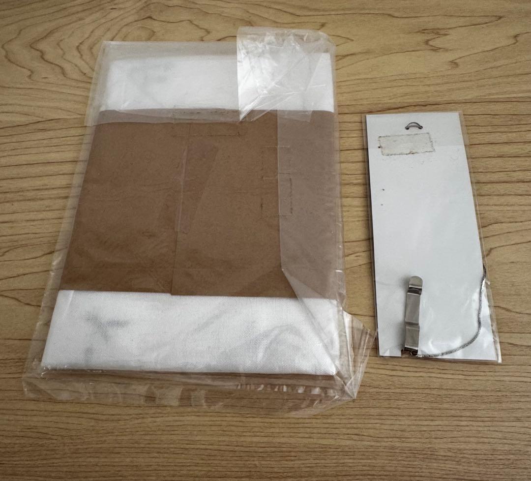 【美品】ポルノグラフィティ 過去レアグッズ 6点セット