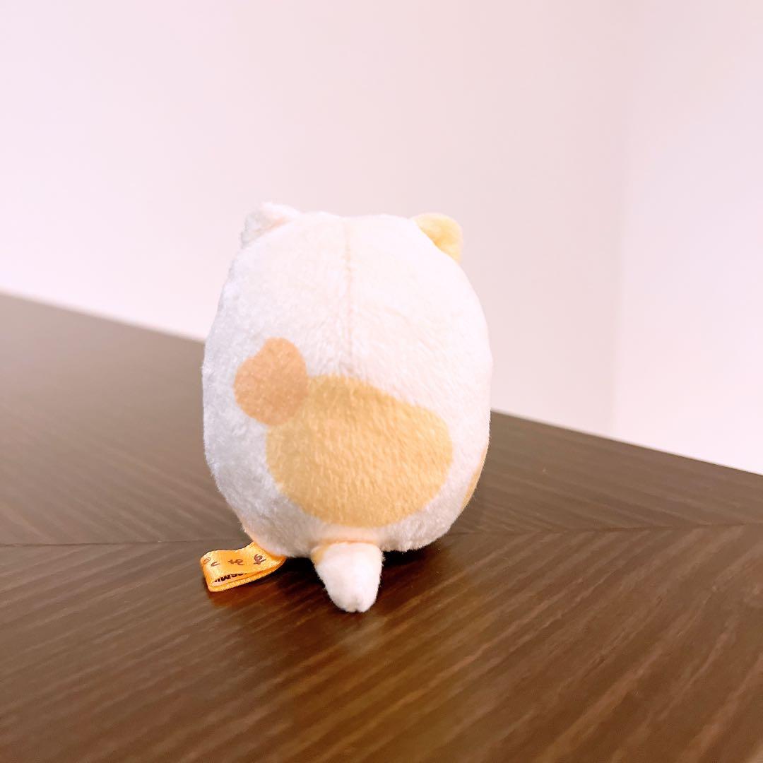 すみっコぐらし　ねこの日スペシャルぬいぐるみ　とかげ　てのりぬいぐるみ　受注