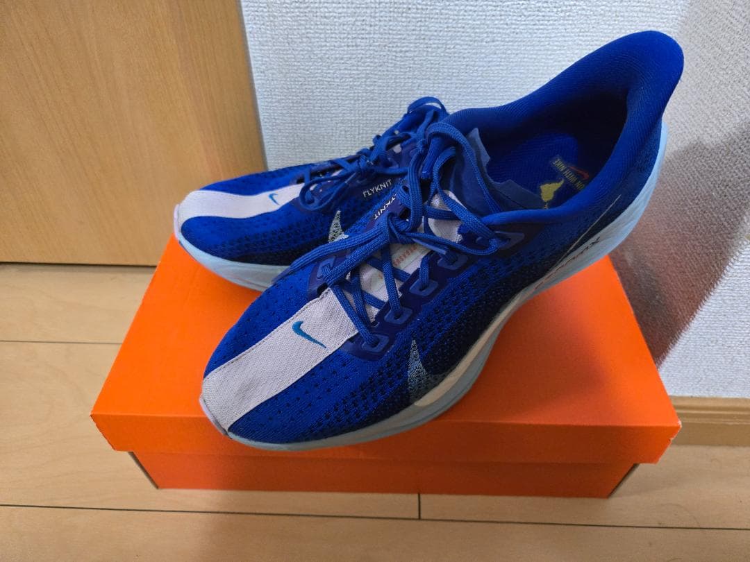 【中古】Nike ナイキ ペガサスプラス 26.5cm