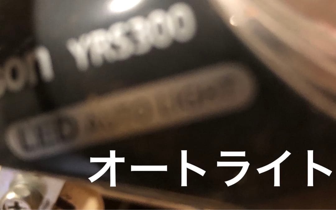 20インチ自転車 ヴィヴァーチェ　アサヒサイクル