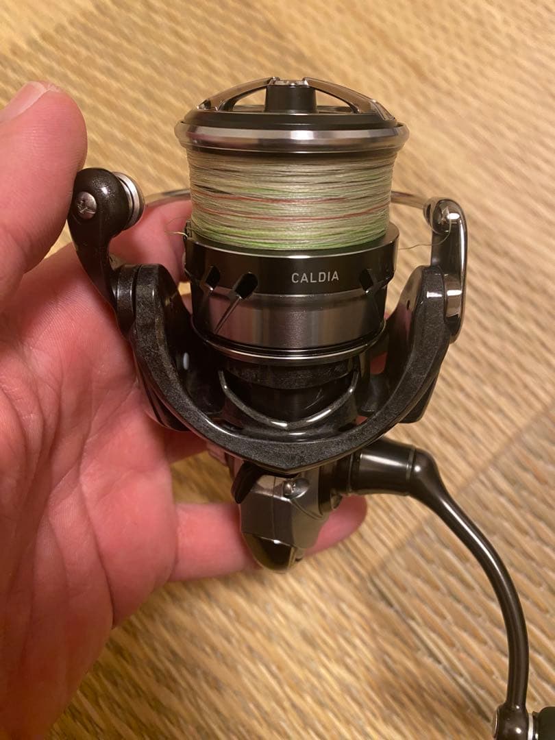 CALDIA 2500S カルディア