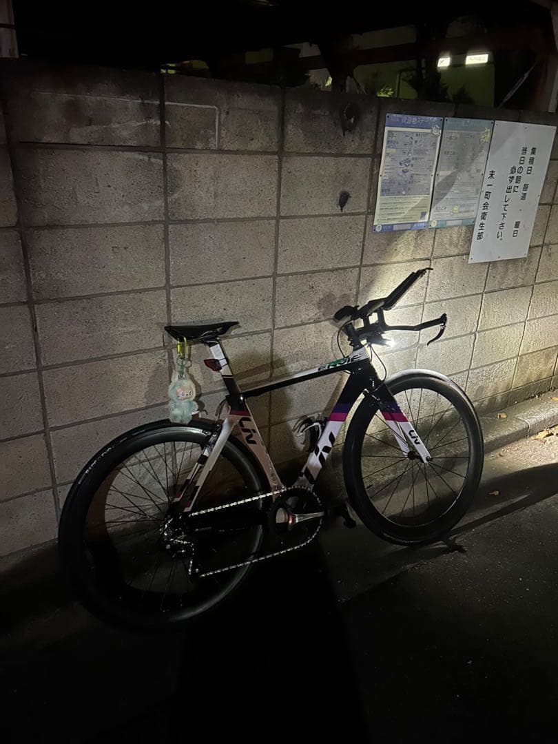 LIV TTバイク