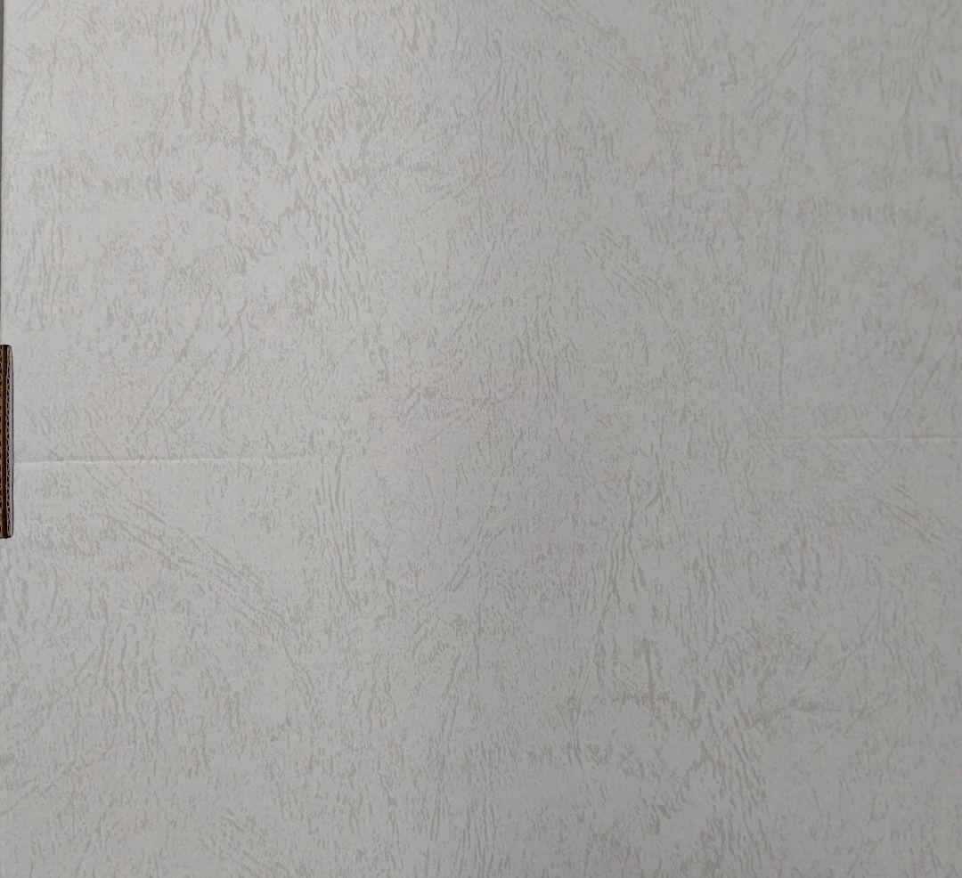 フェアリーテイル 複製原画