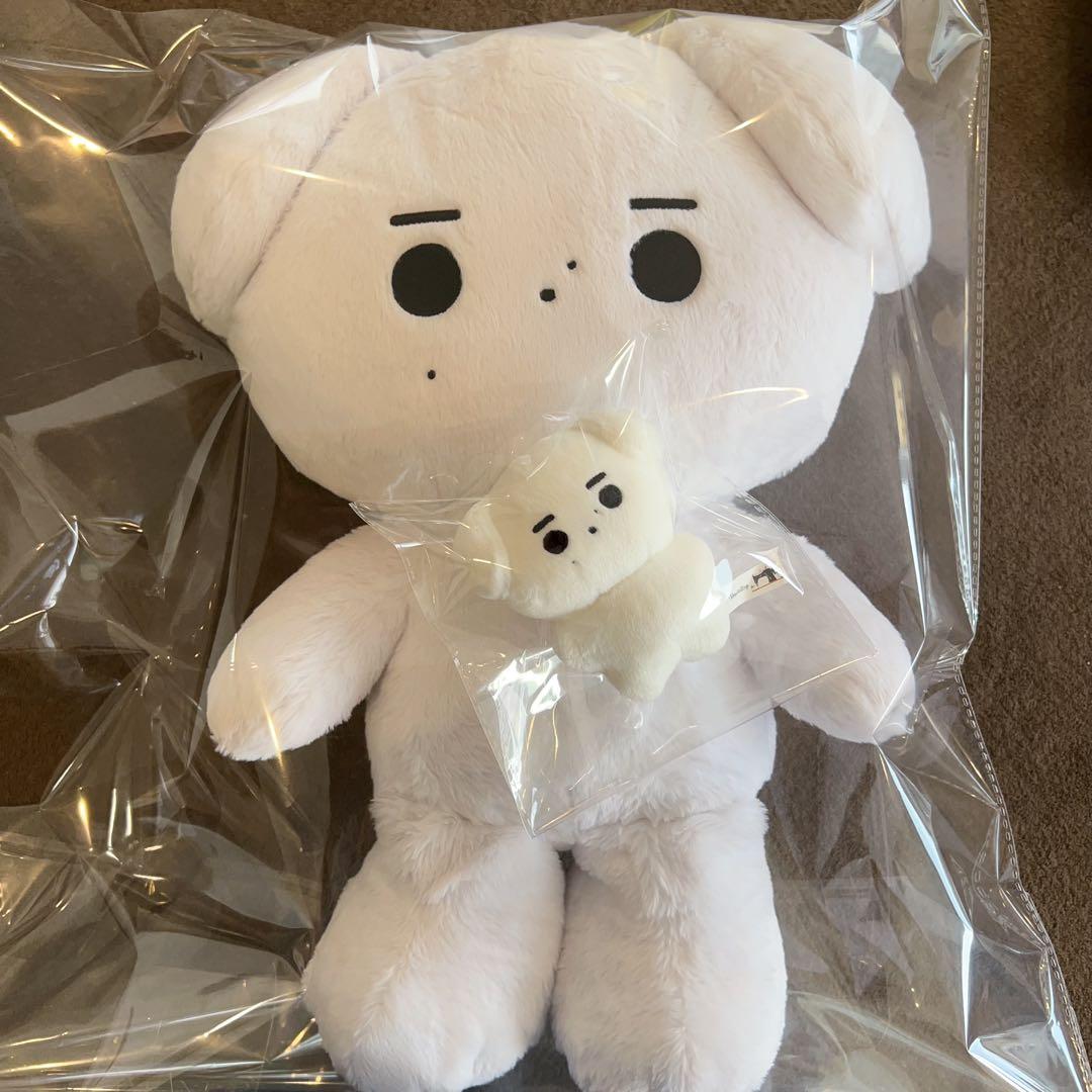 enhpyen ソンフン　ぬいぐるみ　10cm 40cm 新品　マスター