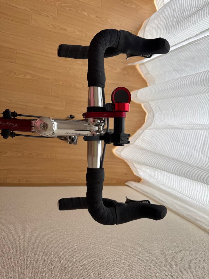 Raleigh ミニベロ