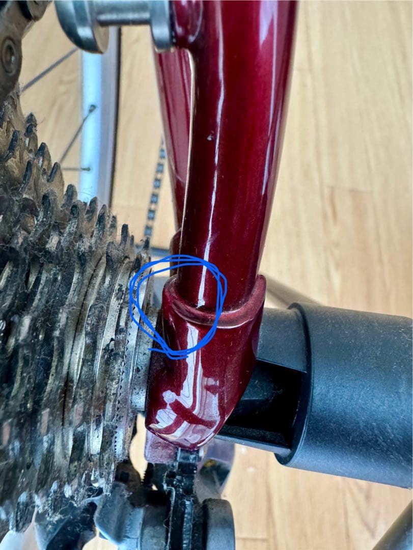 Raleigh ミニベロ