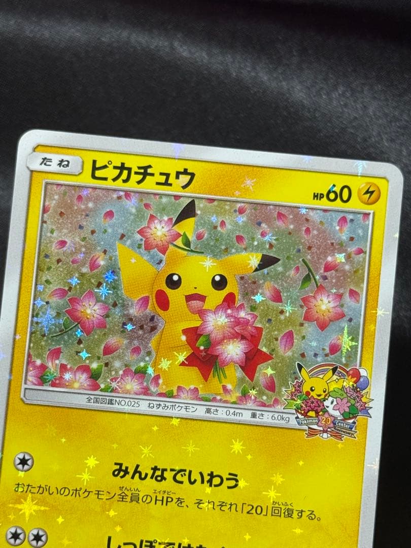 ピカチュウ みんなでいわう