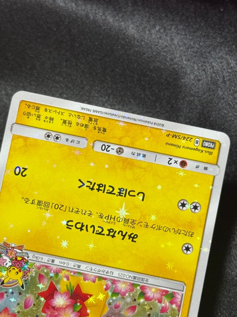 ピカチュウ みんなでいわう