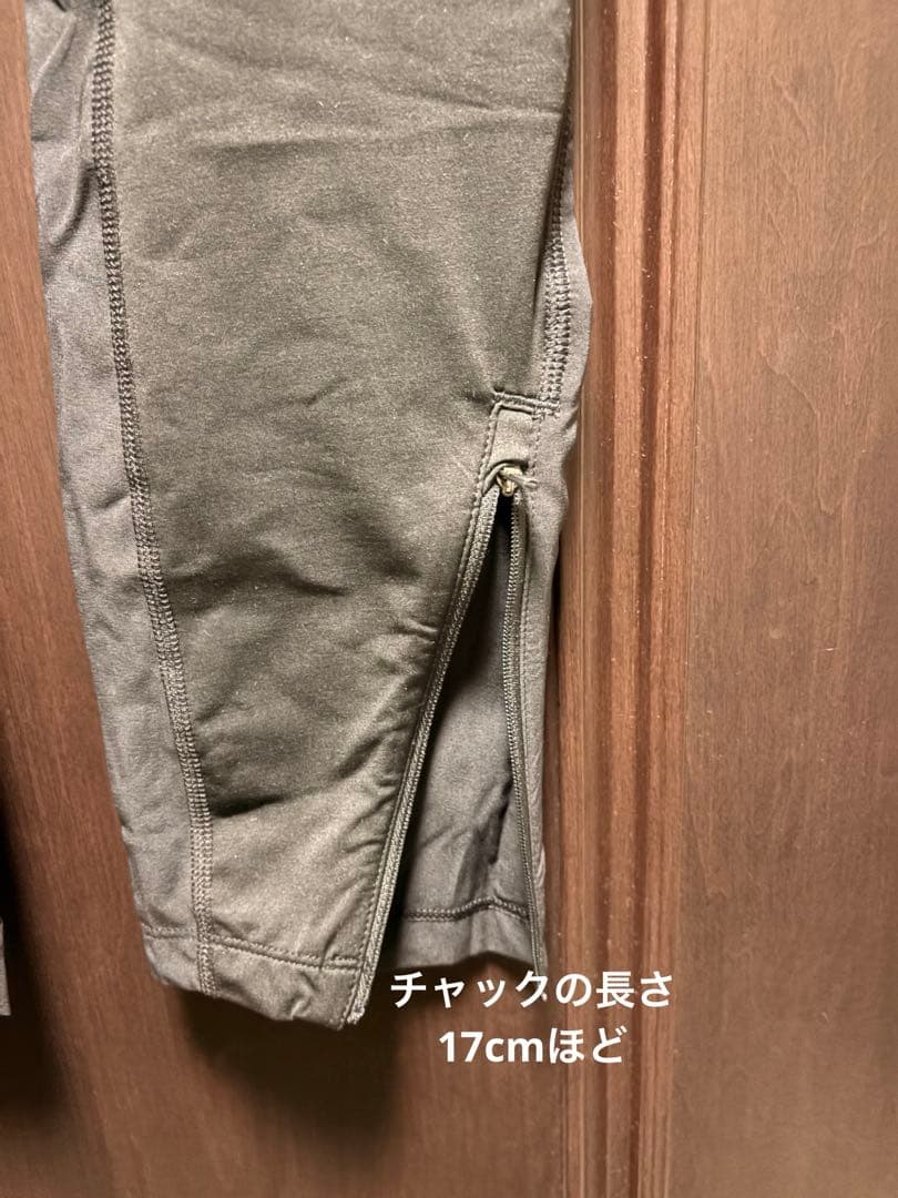 SALOMON アジャイル ウォーム タイツ （メンズ・M）