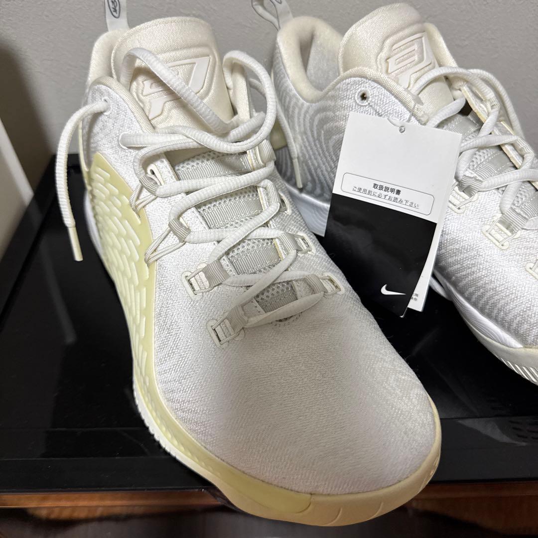 未使用品　JORDAN CP3.Х AE (LT OREWOOD