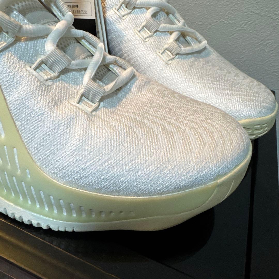 未使用品　JORDAN CP3.Х AE (LT OREWOOD