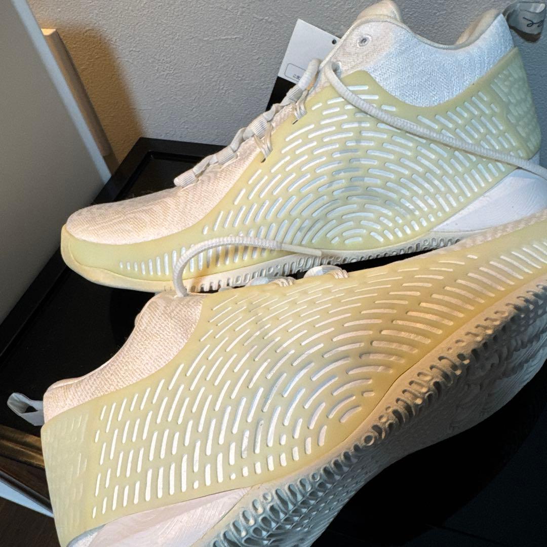 未使用品　JORDAN CP3.Х AE (LT OREWOOD