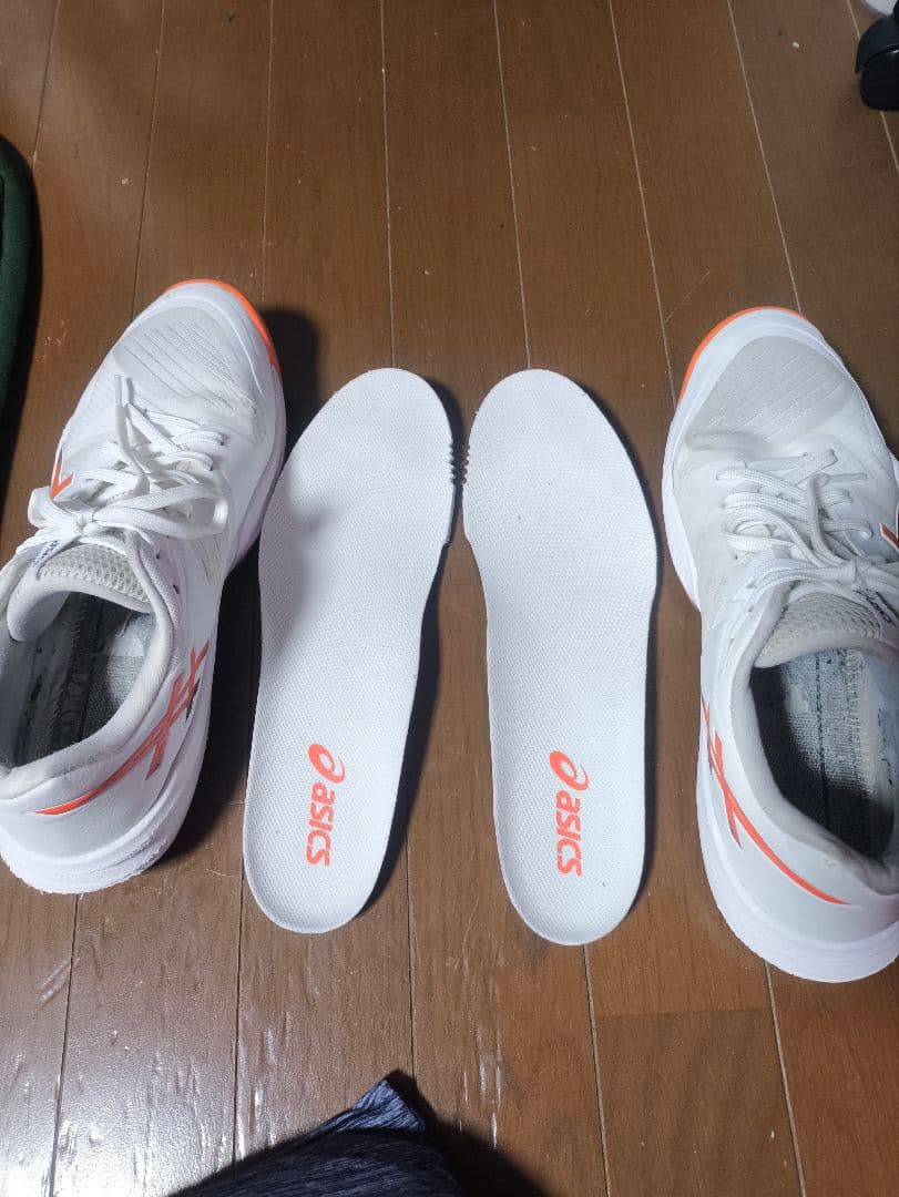 ASICS スカイエリートFF3 ローカット　27cm