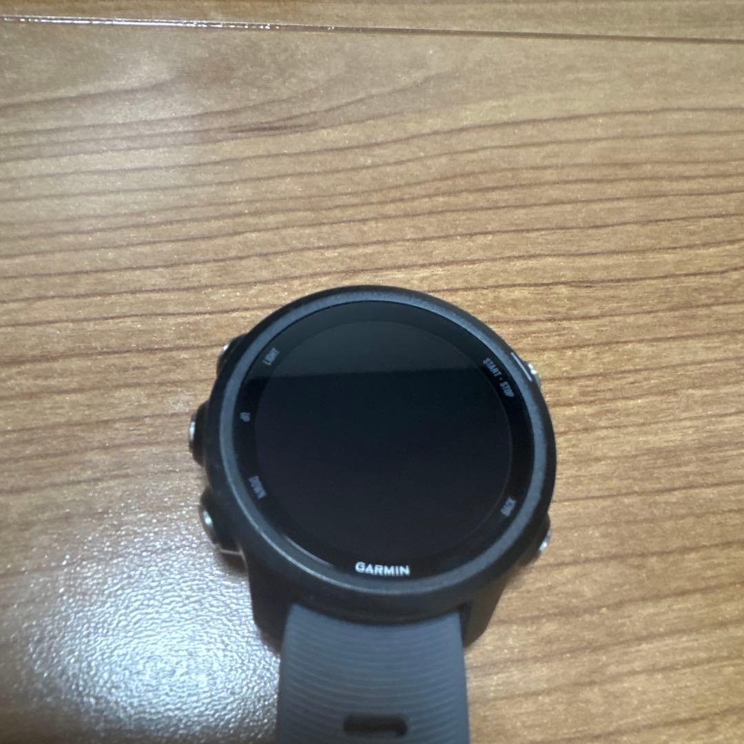 その他 Garmin245
