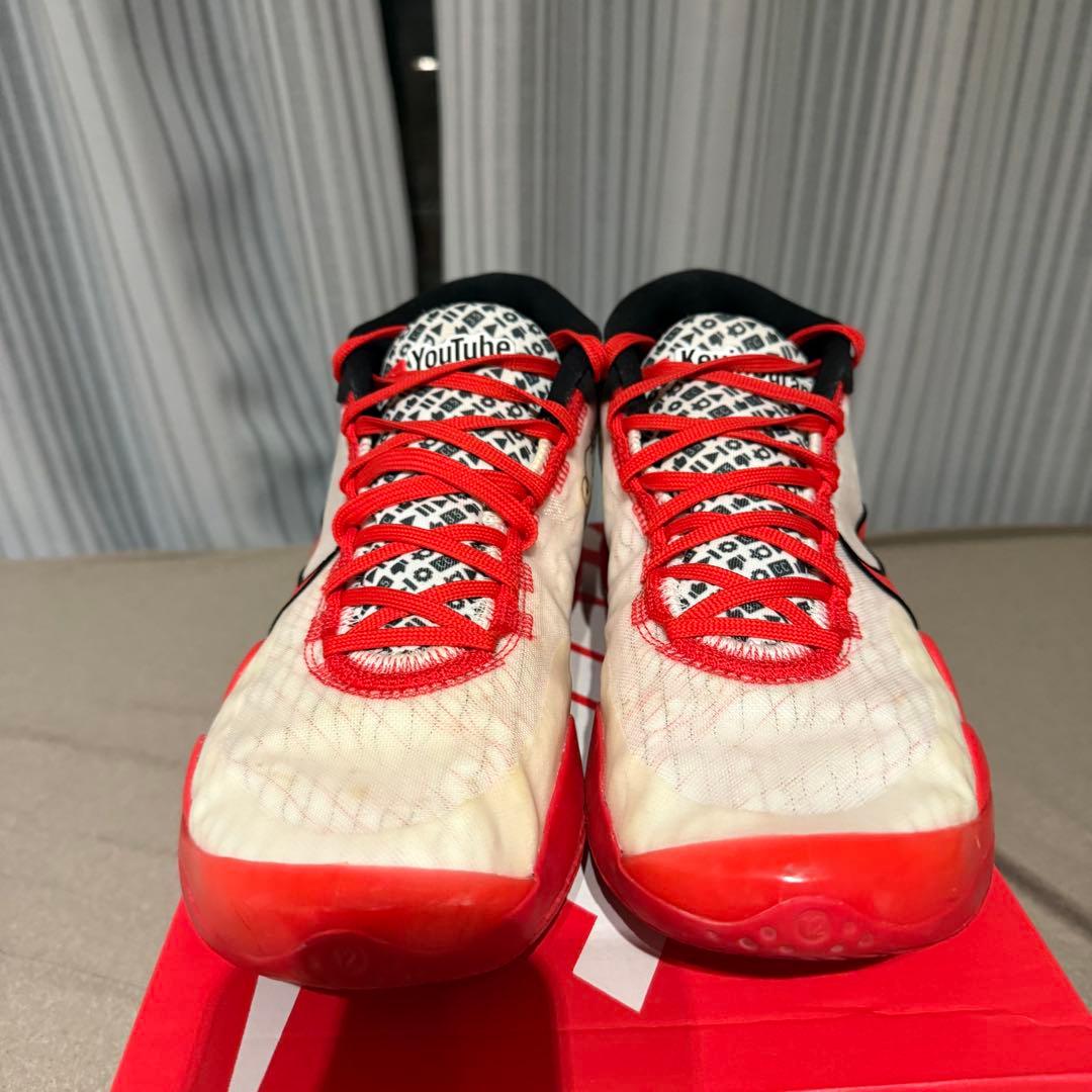 シューズ(男性用) NIKE KD12 29cm