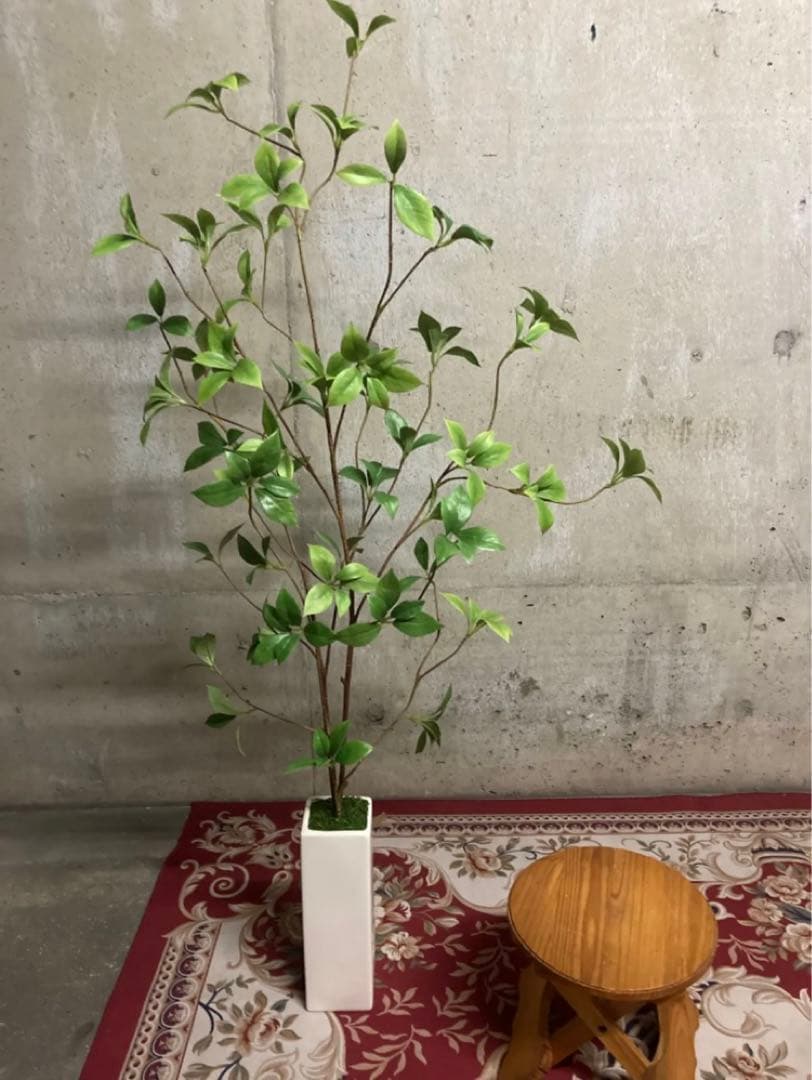 光触媒　人工観葉植物　ウォールグリーン　フェイクグリーン　クロモジリーフ花器付@