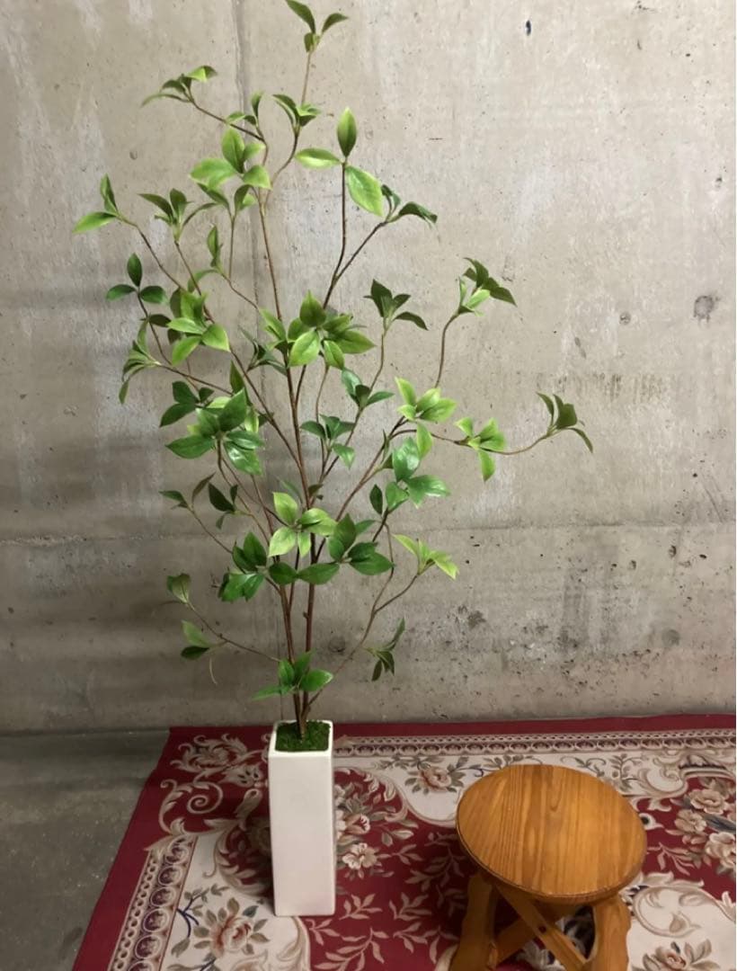 光触媒　人工観葉植物　ウォールグリーン　フェイクグリーン　クロモジリーフ花器付@