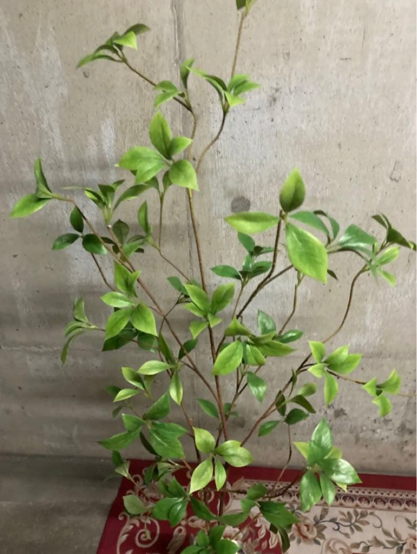 光触媒　人工観葉植物　ウォールグリーン　フェイクグリーン　クロモジリーフ花器付@
