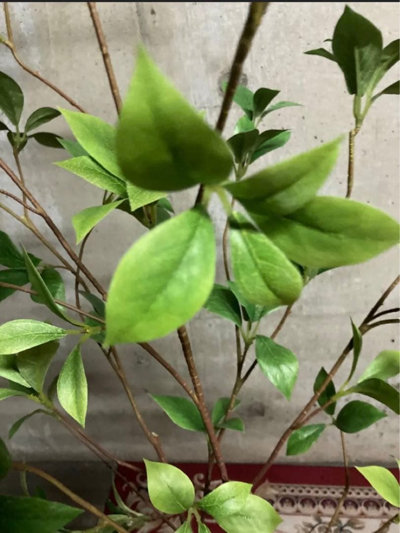 光触媒　人工観葉植物　ウォールグリーン　フェイクグリーン　クロモジリーフ花器付@