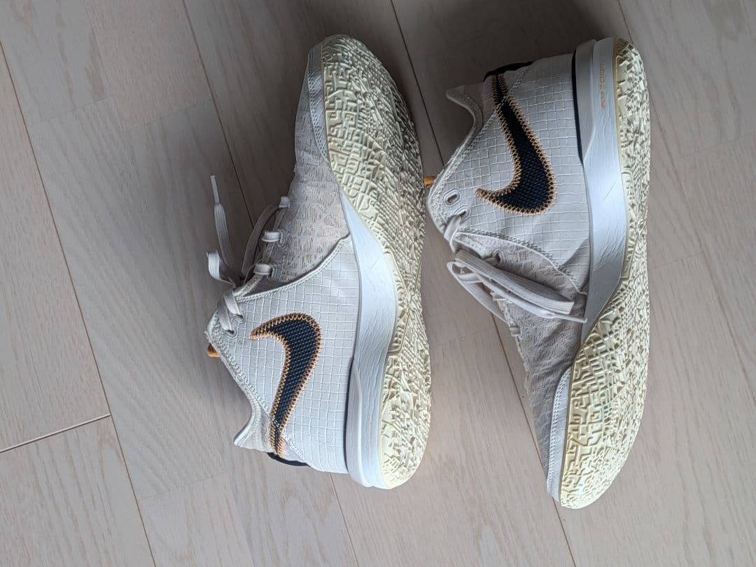 バスケットボールシューズ NIKE LEBRON NXXT GEN EP