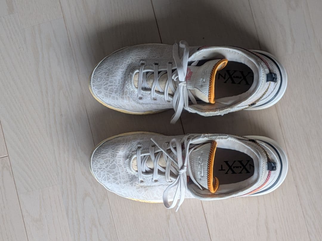 バスケットボールシューズ NIKE LEBRON NXXT GEN EP