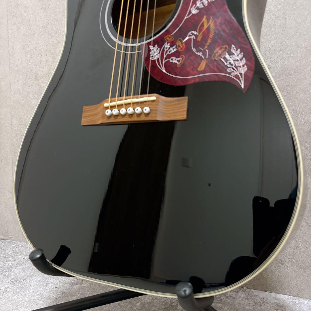 限定 Epiphone エピフォン ハミングバードプロ EBONY エレアコ