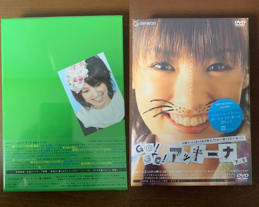 南明奈さん　DVD GO！GO！アッキーナ　下ノ巻