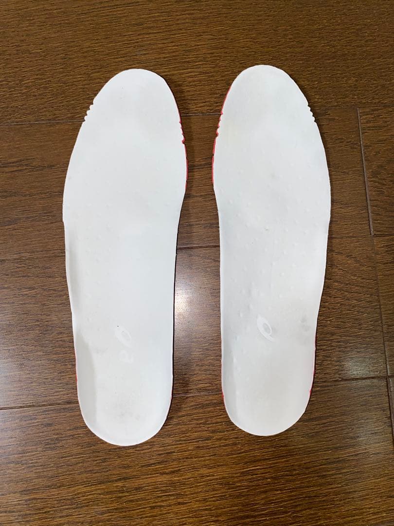アシックス DS LIGHT X-FLY PRO2 26.0 cm