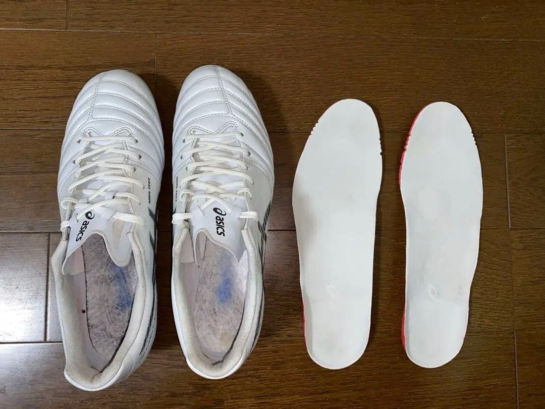 アシックス DS LIGHT X-FLY PRO2 26.0 cm
