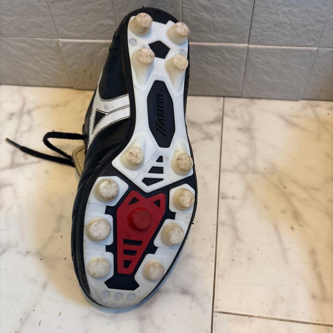 モレリア2japan23cm