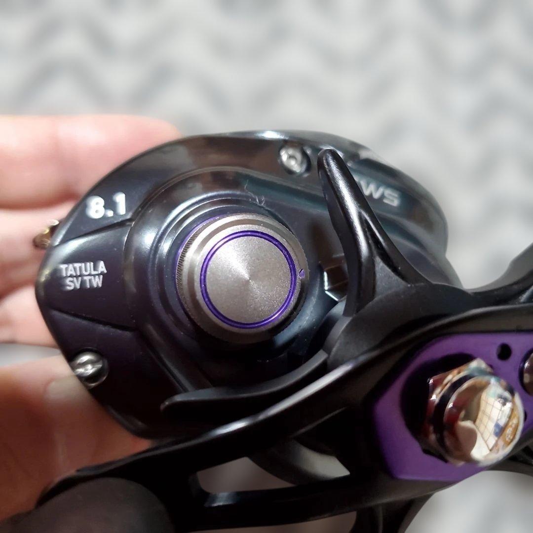 ダイワ　タトゥーラ SV TW 8.1R