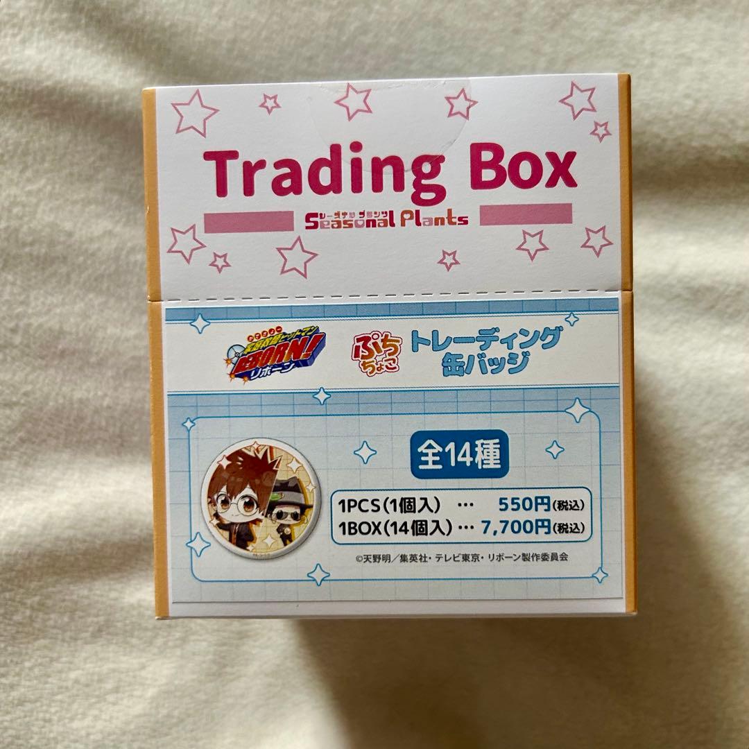リボーン！　ぷちちょこ 缶バッジ　シーズナルプランツ　メガネ＆スーツver.