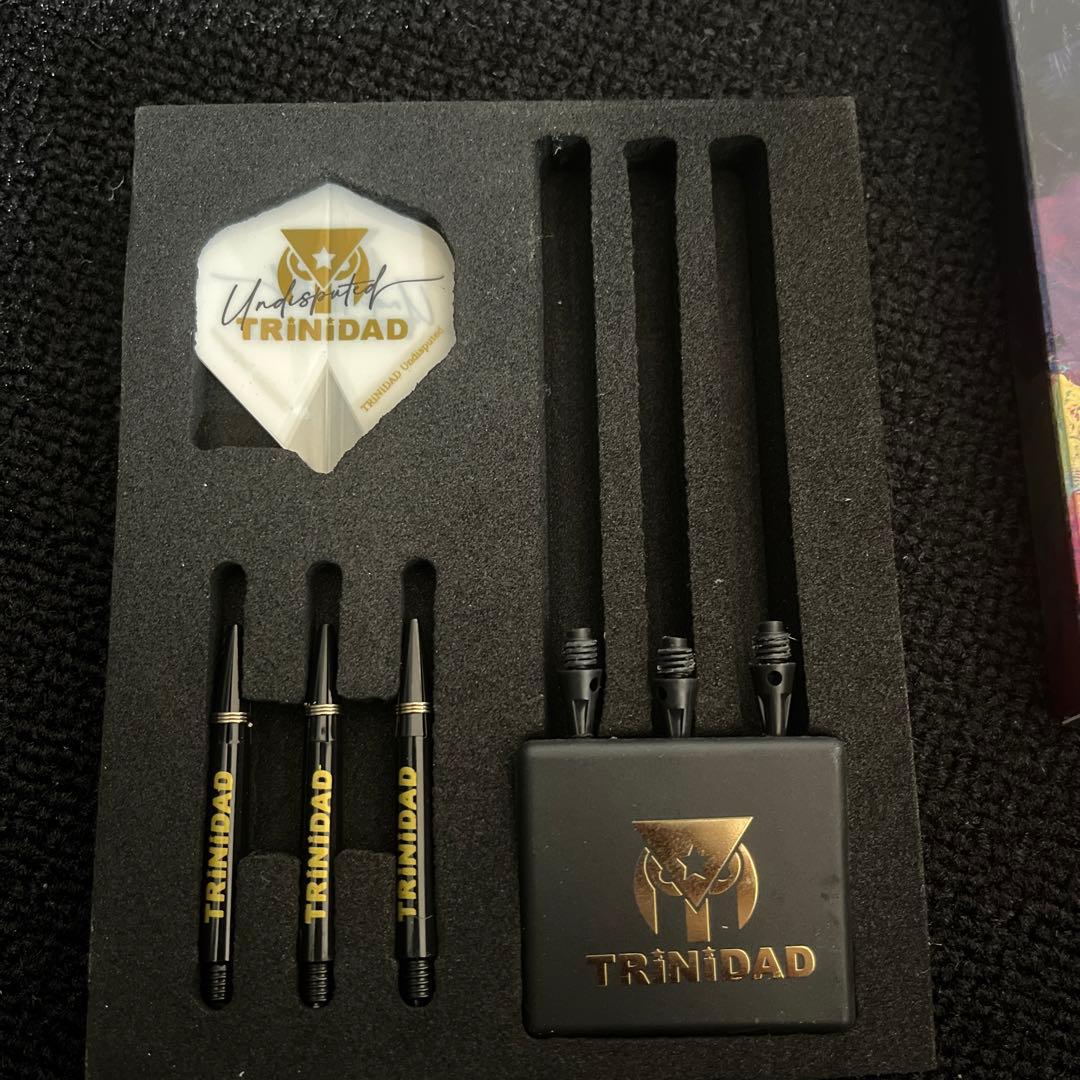 TRINIDAD ダーツ　KID TYPE2 20g