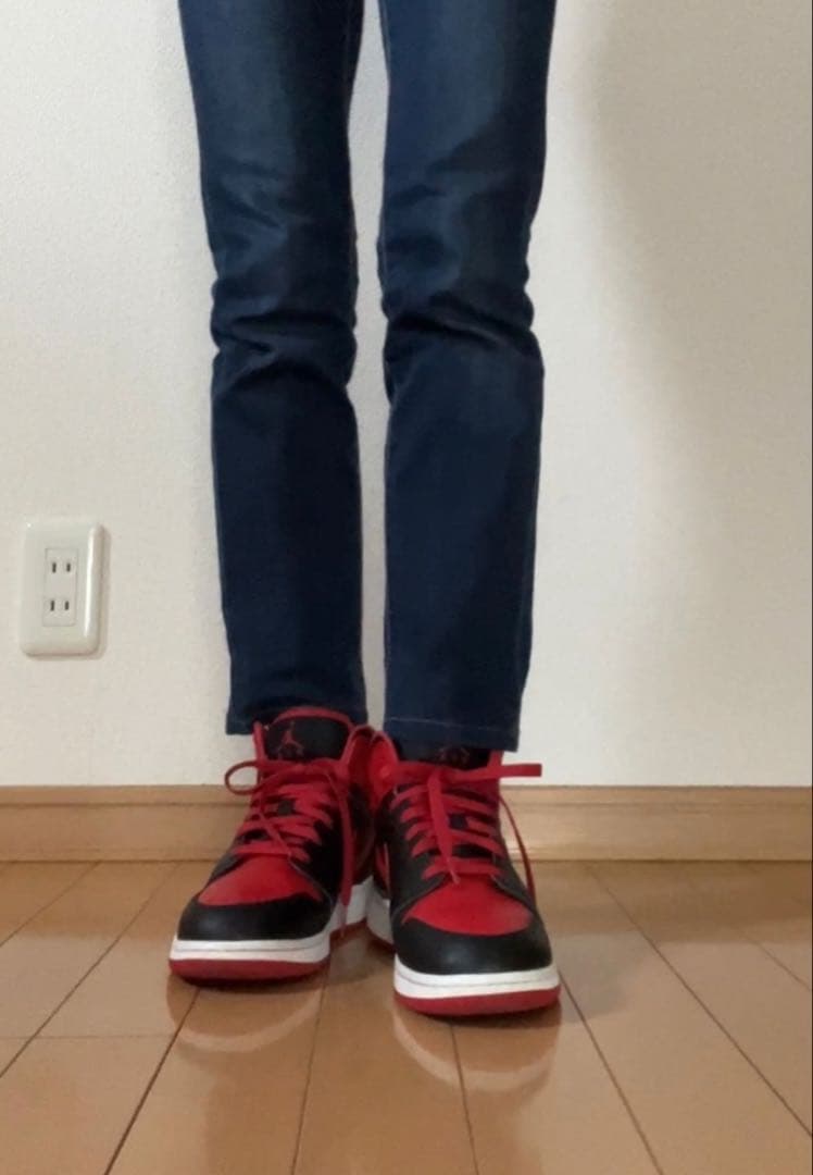 ナイキ NIKE エアジョーダン バッシュ ブラック レッド 24.5cm