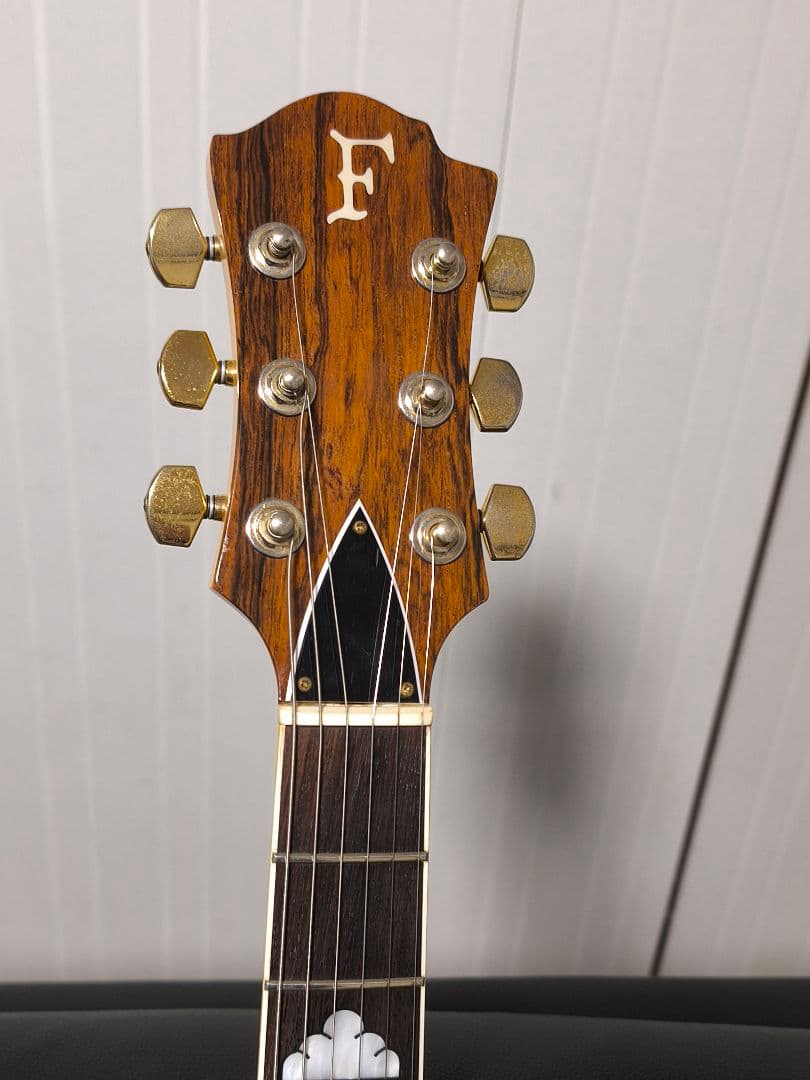 フェルナンデス FERNANDES MG-80X hideモデル