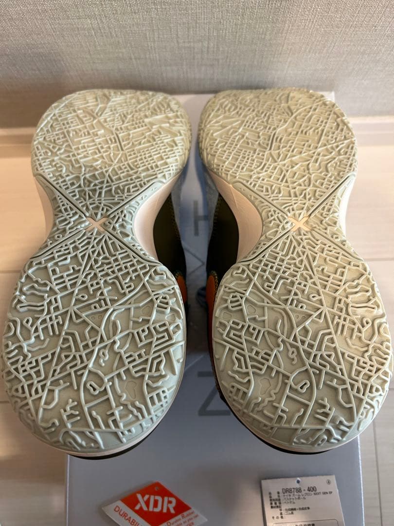 シューズ(男性用) Nike ZOOM LEBRON NXXT GEN EP