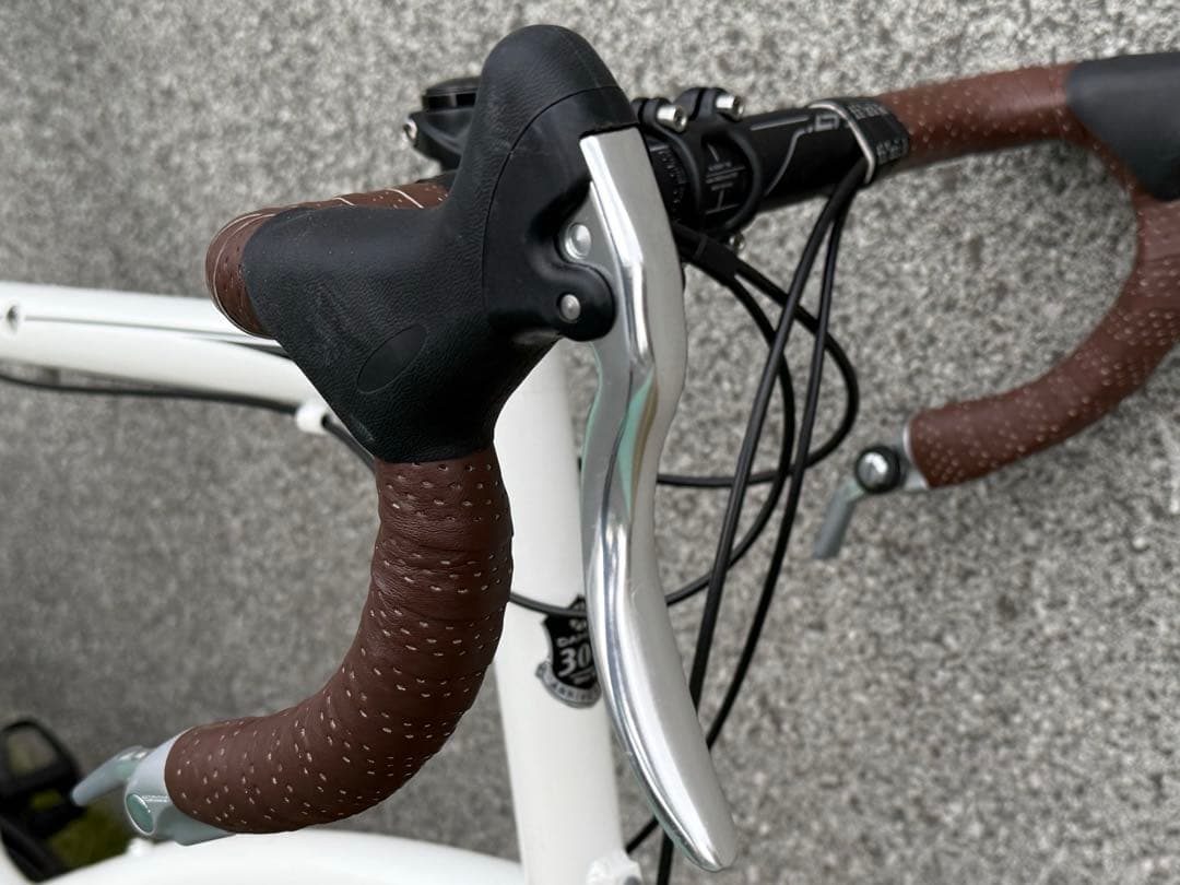 DAHON DASH P18 カスタム車 / ダホン ダッシュ （451化）